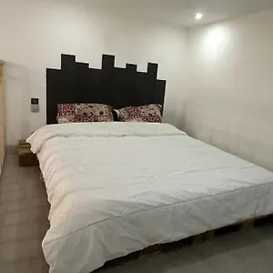 Avec Mezzanine Appartement Nice